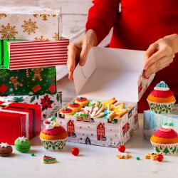 Decora Kутия за бисквитки СНЕЖЕН ПЕЙЗАЖ