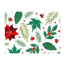 Decora Kутия за бисквитки КОЛЕДНА ЗВЕЗДА
