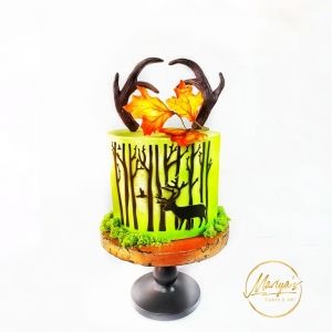 Mariya's Cakes & Art КОМПЛЕКТ КОМПРЕСОР, ВЪЗДУШНА ЧЕТКА и обучение за техническа поддъжка и работа с аерограф