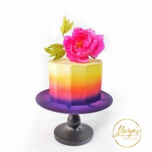 Mariya's Cakes & Art КОМПЛЕКТ КОМПРЕСОР, ВЪЗДУШНА ЧЕТКА и обучение за техническа поддъжка и работа с аерограф